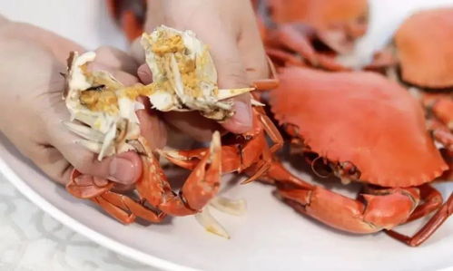 蟹意正浓 这份广东吃蟹地图，我先mark为敬