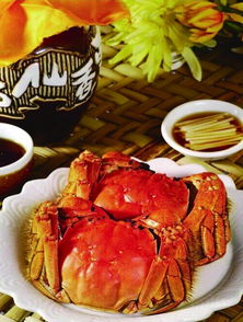 中秋送蟹，首选蟹之家精品好蟹