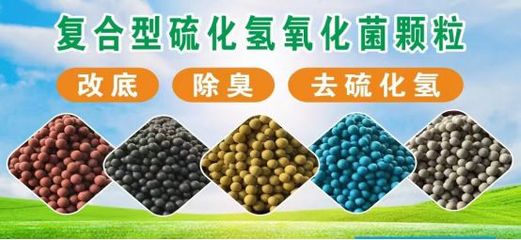 年销8000吨生物菌酶颗粒，这家企业再建共享工厂，剑指行业头部源头厂家